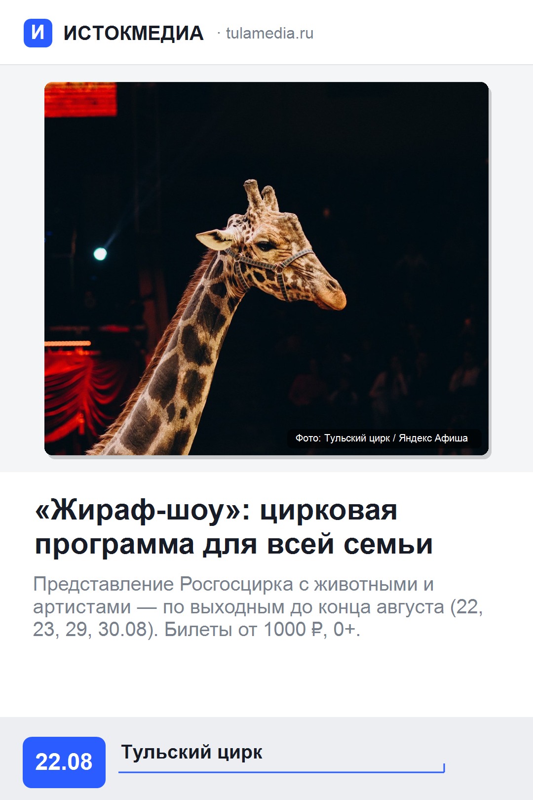 Афиша: «Жираф-шоу» в Тульском цирке