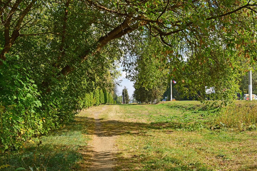 Природный пейзаж Тульской области