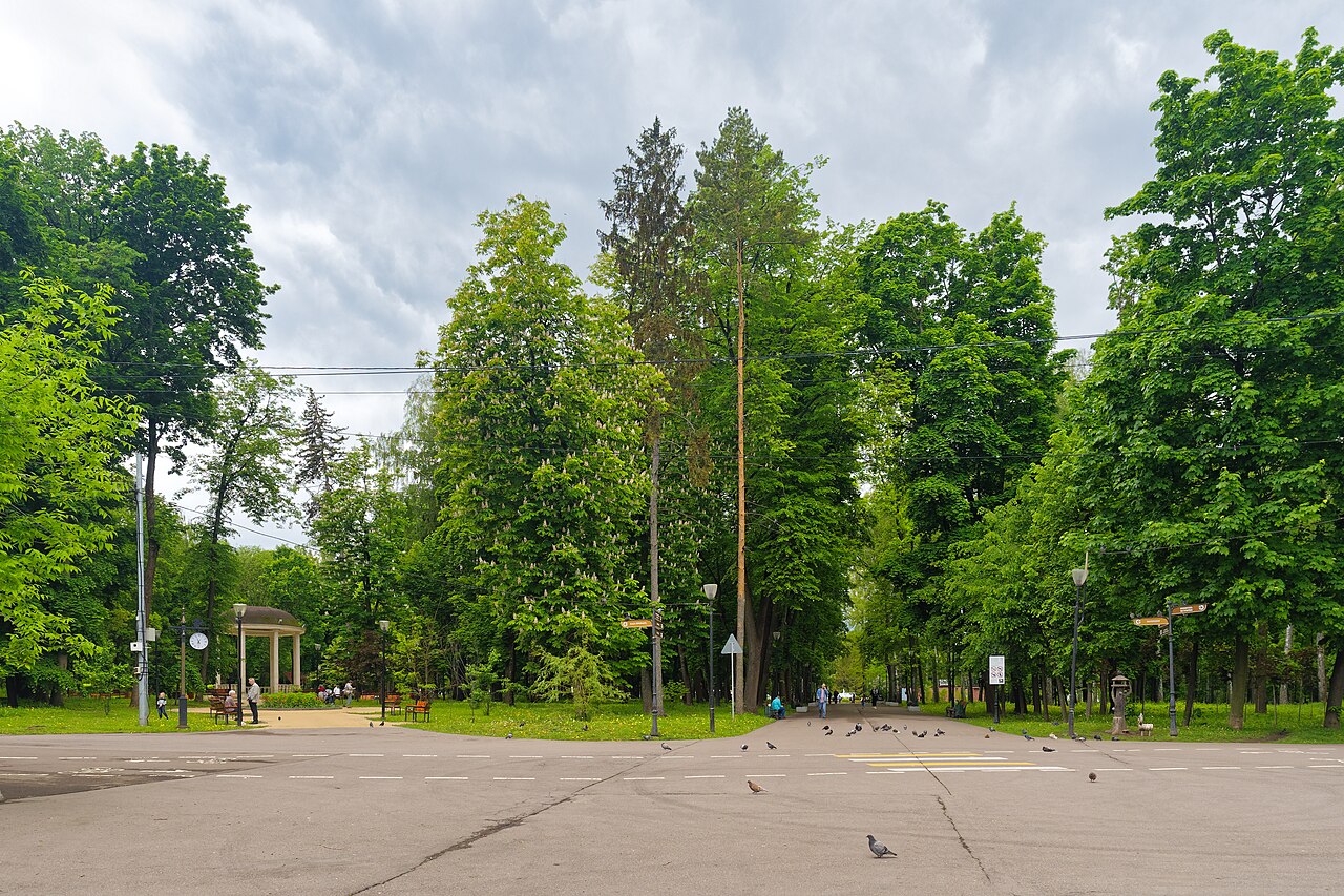 Городской парк в Туле