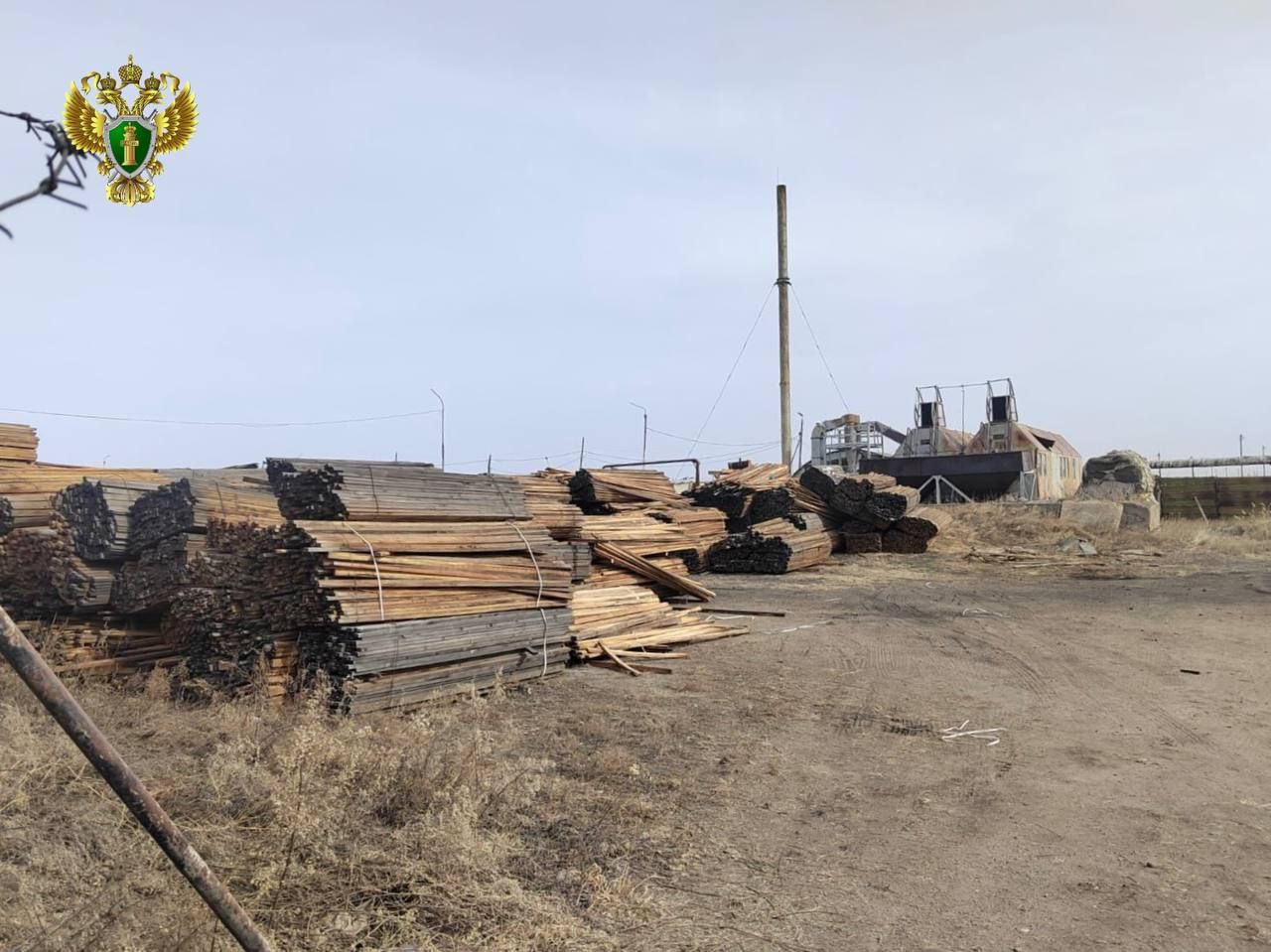 Штабели хвойных пиломатериалов