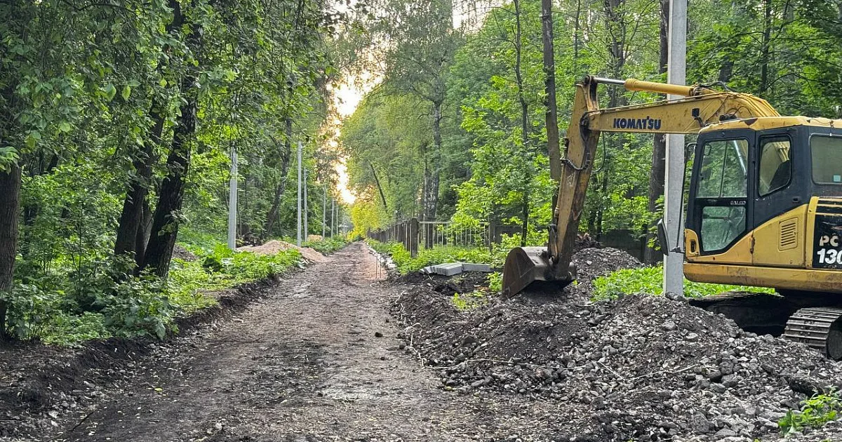 Земляные работы в лесополосе Новомосковска