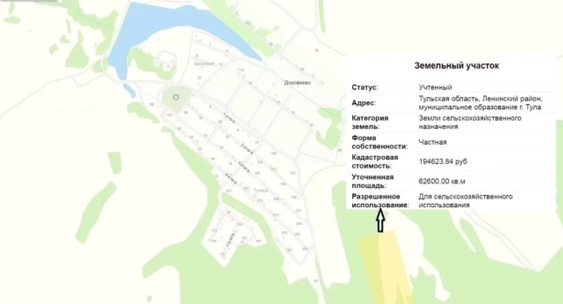Участок земли у деревни Дорофеево под Тулой на кадастровой карте