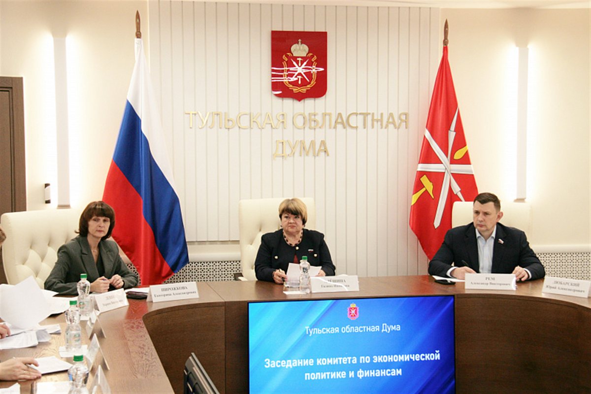 Заседание комитета Тульской областной думы