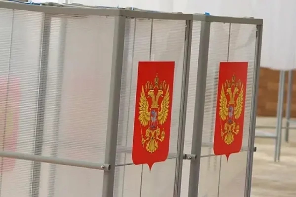Голосование на выборах в Тульской области